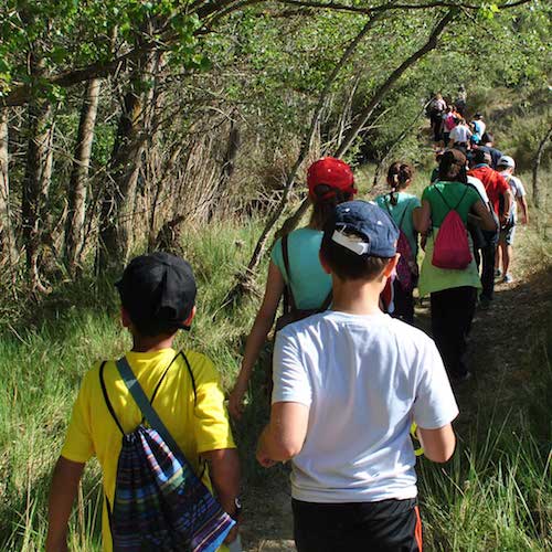 ruta por cañaverosa